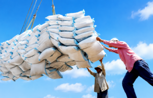 Le recul des importations de riz et de maïs allège la facture de 11 milliards FCFA