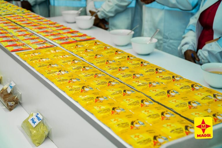 Nestlé Cameroun présente sa nouvelle gamme d'assaisonnements MAGGI Poudre 8 g lors de son lancement à Douala.