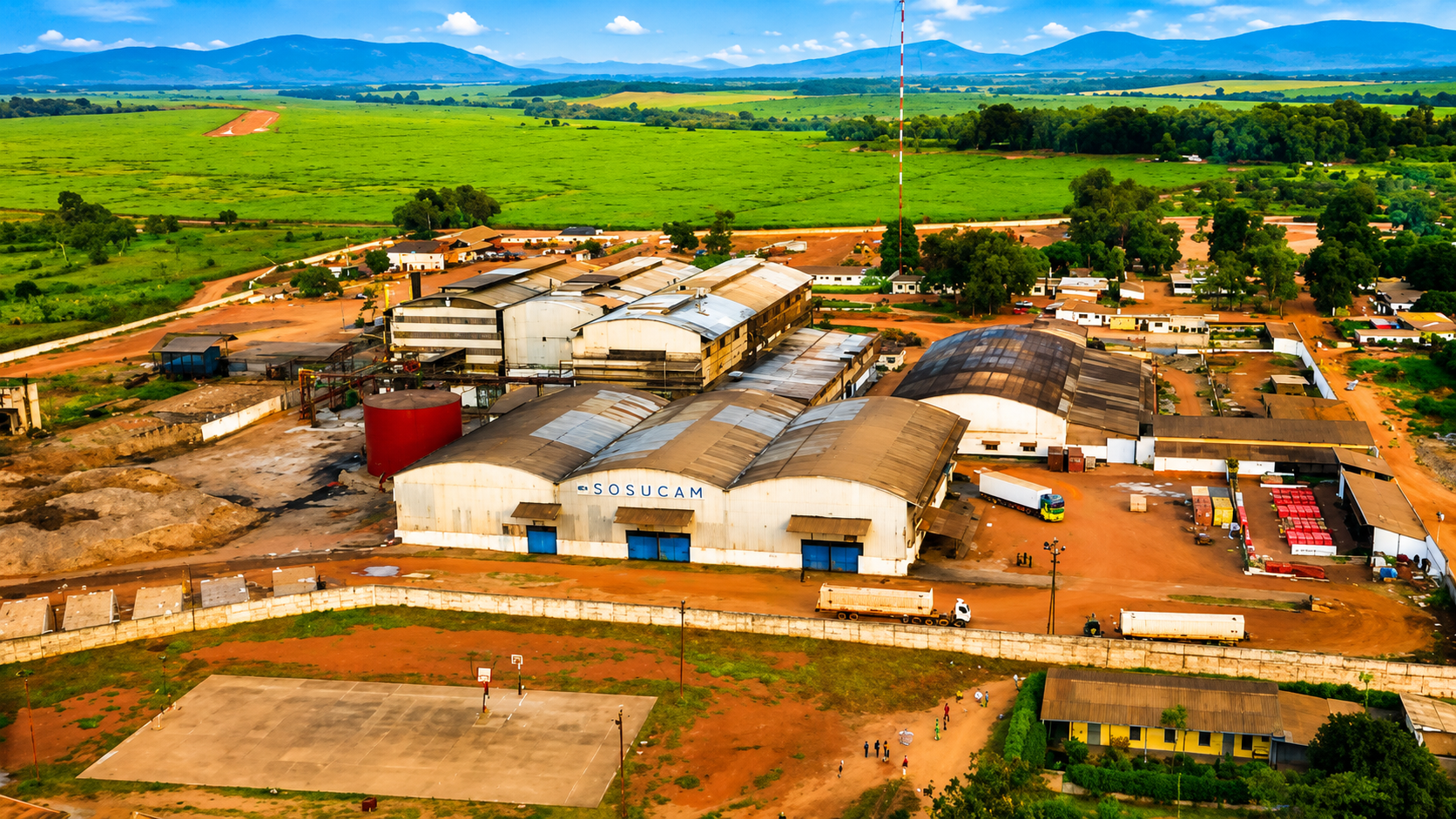 Cinq investisseurs camerounais en passe de reprendre SOSUCAM avec 138 milliards FCFA