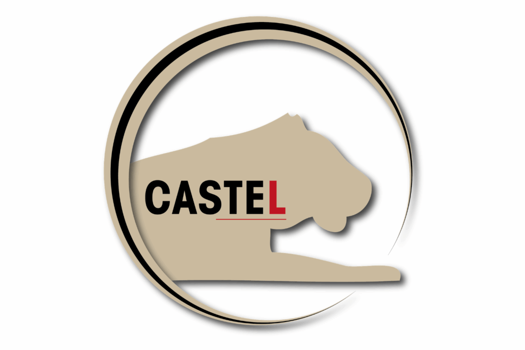 Des membres de la famille Castel réaffirment publiquement leur soutien à la gouvernance du Groupe Castel afin de préserver la stabilité de l'actionnariat et la continuité des activités en France et en Afrique.