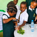 À Yaoundé, Dewey International School accueille les enfants de 18 mois à 13 ans dans un environnement inclusif offrant un accompagnement individualisé aux élèves à besoins éducatifs particuliers.