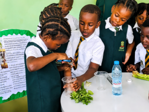 À Yaoundé, Dewey International School accueille les enfants de 18 mois à 13 ans dans un environnement inclusif offrant un accompagnement individualisé aux élèves à besoins éducatifs particuliers.