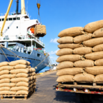 Exportations camerounaises vers les États-Unis en hausse de 119 % à 151,9 milliards de FCFA en sept mois