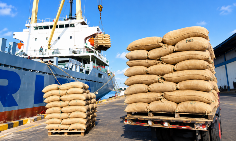 Exportations camerounaises vers les États-Unis en hausse de 119 % à 151,9 milliards de FCFA en sept mois