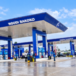 Nouvelle station Neptune Oil de Ngodi-Bakoko à Douala avec 19 pompes