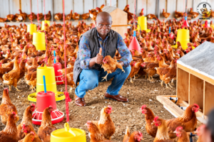 Société d’agriculture et d’élevage du Gabon (SAEG) placée sous administration provisoire pour 90 jours après l’échec de sa dissolution, afin de protéger ses actifs et d’examiner sa situation financière.