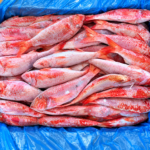 CONGELCAM réclame une hausse des quotas d’importation de poisson.