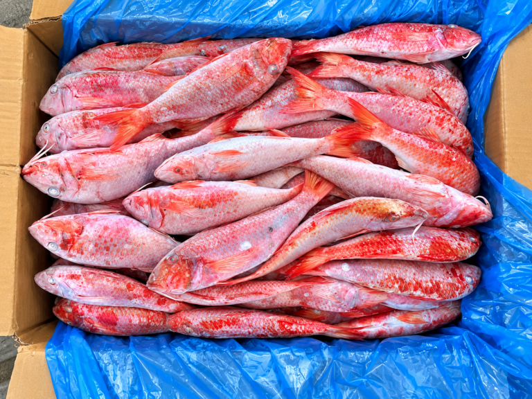 CONGELCAM réclame une hausse des quotas d’importation de poisson.
