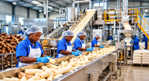 Projet indonésien de transformation industrielle du manioc en République centrafricaine.