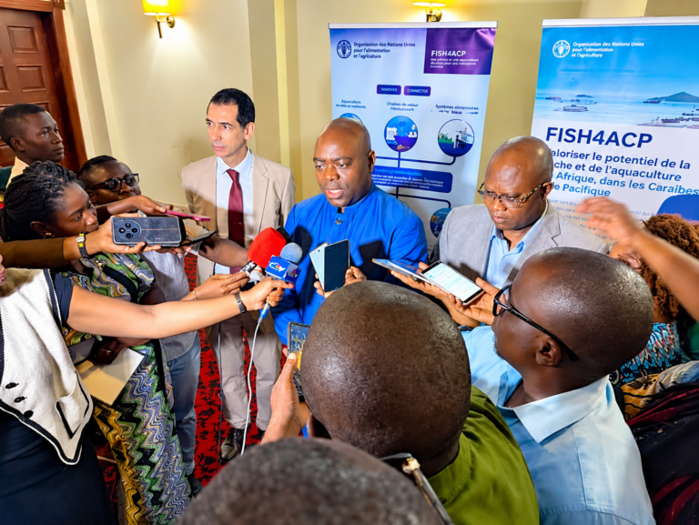 La PLACRECAM et la FAO mobilisées pour valoriser la filière crevettière camerounaise et transformer les acquis du programme FISH4ACP en débouchés commerciaux.